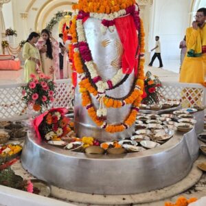 हरिद्वार में 5210 किलो के पारद शिवलिंग की प्राण प्रतिष्ठा:4.5 फीट ऊंचा और 3333 किलो पारे से बना, 10 साल की रिसर्च के बाद तैयार हुआ