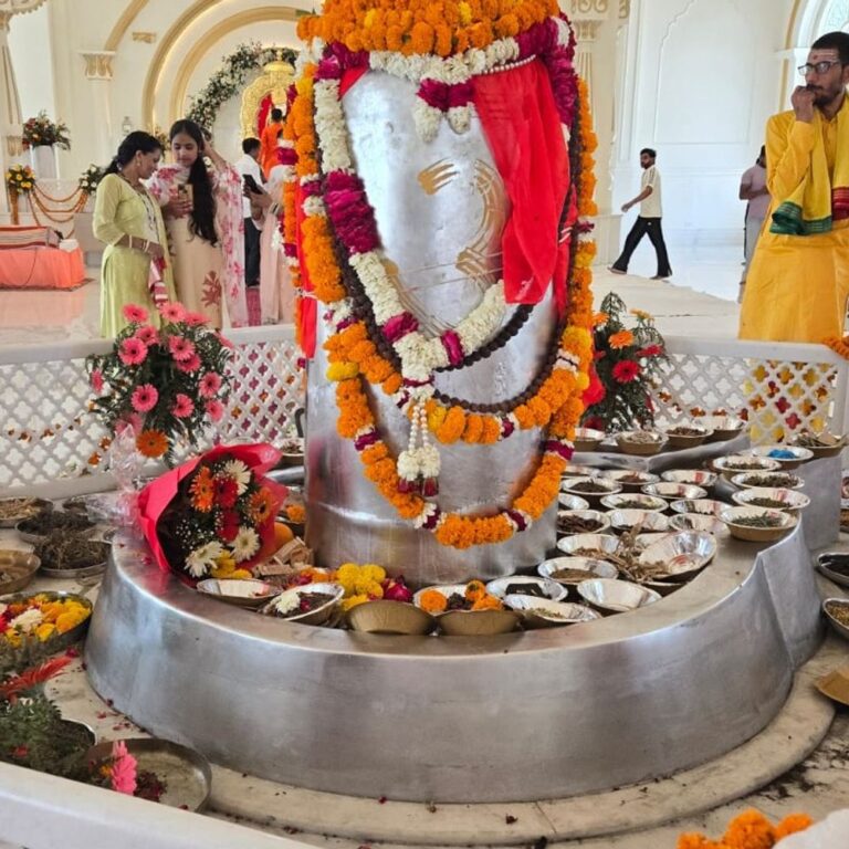 हरिद्वार में 5210 किलो के पारद शिवलिंग की प्राण प्रतिष्ठा:4.5 फीट ऊंचा और 3333 किलो पारे से बना, 10 साल की रिसर्च के बाद तैयार हुआ