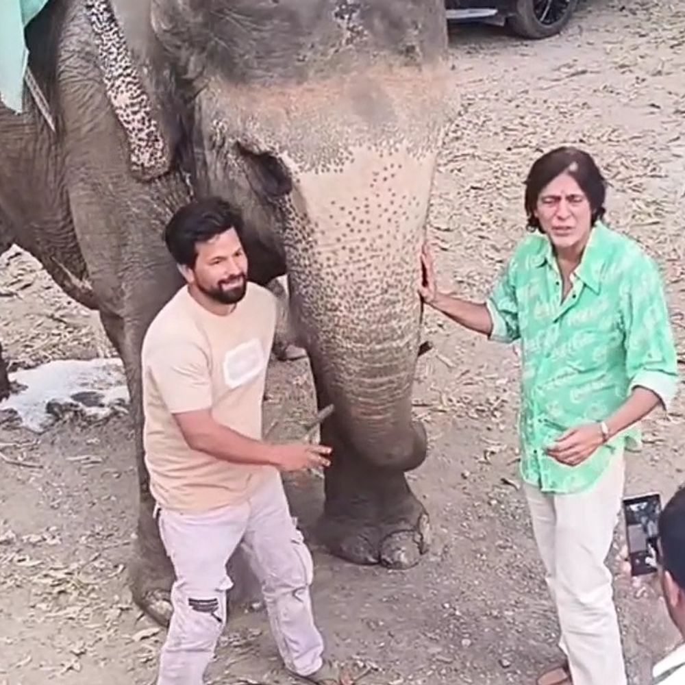 बॉलीवुड अभिनेता चंकी पांडे कॉर्बेट टाइगर रिजर्व पहुंचे:जंगल सफारी का उठाया लुत्फ, हाथी के साथ खिंचवाई तस्वीर