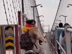 ऋषिकेश में स्कूटी पर घूमती नजर आईं रवीना टंडन:परमार्थ निकेतन में गंगा आरती में हुईं शामिल, स्वामी चिदानंद सरस्वती का लिया आशीर्वाद